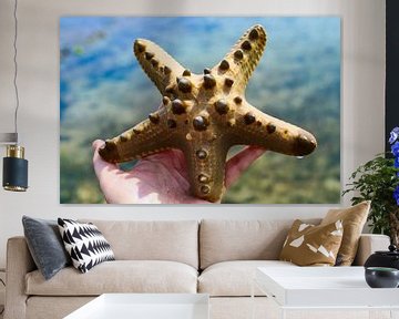 Starfish by Cre8yourstory