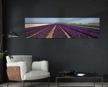 Bloemenveld, panorama van Yanuschka Fotografie | Noordwijk