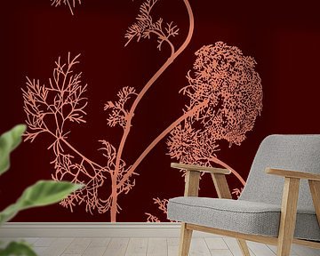 Heracleum Sibiricum | Gemeiner Bärenklau | Illustration