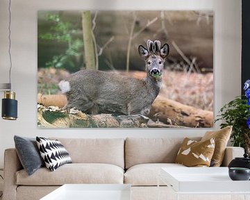 Roe deer at its breakfast by Louise Poortvliet