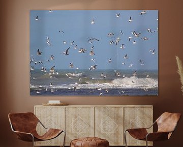 Lots of seagulls by Anne Ponsen