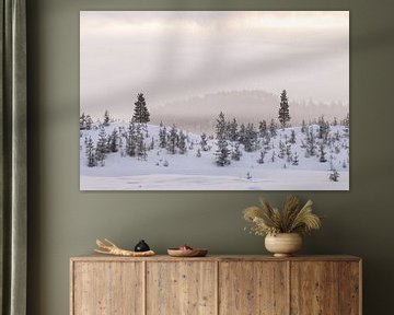 Beautiful soft light in a perfect winter landscape by Monique van Genderen (in2pictures.nl fotografie)
