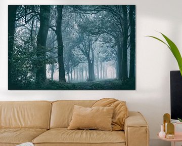 Alte Bäume im Nebel von Ellen Driesse