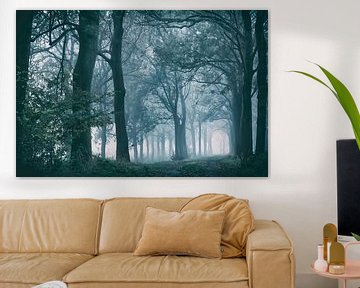 Oude bomen in de mist