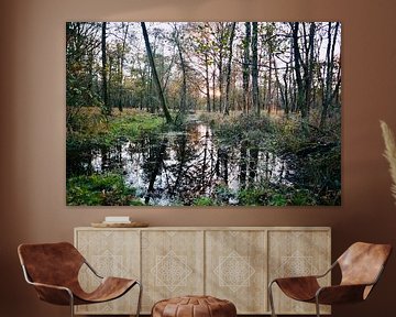 Heure d'or dans la réserve naturelle de Kampina sur Nicolette Suijkerbuijk