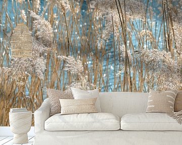 Golden grasses by Violetta Honkisz