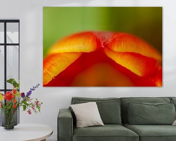 Abstracte sexy tulpen van Maja Mars