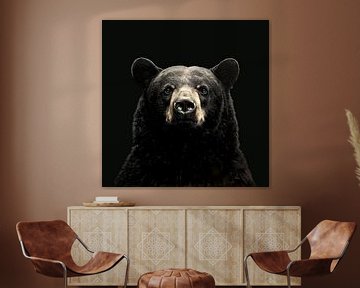 portrait dramatique d'un grizzli noir sur Margriet Hulsker