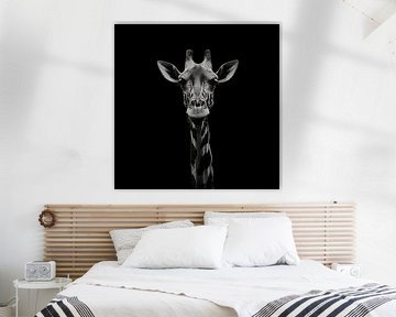 portrait dramatique en noir et blanc de la tête d'une girafe regardant droit dans l'appareil photo sur Margriet Hulsker