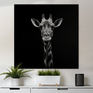 dramatisches Schwarz-Weiß-Porträtfoto mit dem Kopf einer Giraffe, die direkt in die Kamera schaut