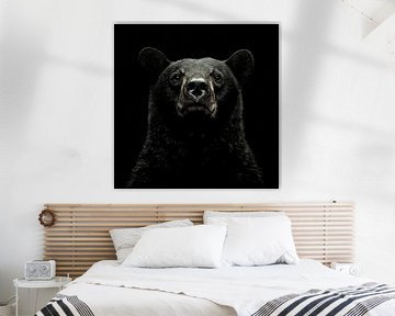 portrait dramatique d'un grizzli noir sur Margriet Hulsker