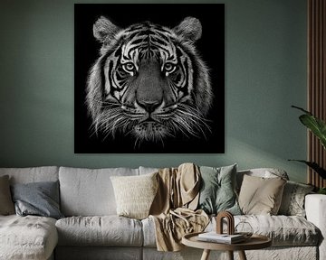 dramatisches Schwarz-Weiß-Porträtfoto eines Tigerkopfes, der direkt in die Kamera schaut von Margriet Hulsker