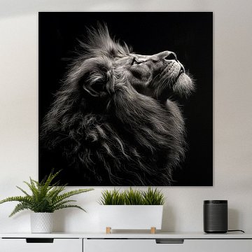dramatisches Schwarz-Weiß-Porträtfoto, das den Kopf eines männlichen Löwen zeigt