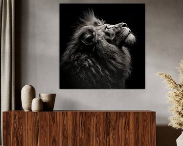 dramatic black and white portrait photo rendering of the head of a male lion