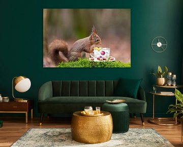 Eichhörnchen von Rob Kempers