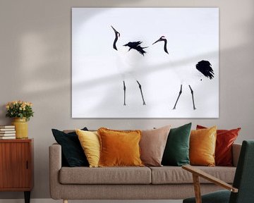 Japanse Kraanvogels van Alexander Koenders