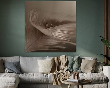 Still life in shades of grey - brown: A drop on a feather by Marjolijn van den Berg