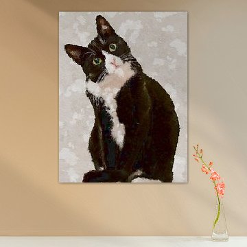 Katze verwirren