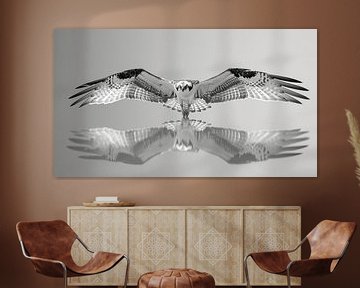 Die Größe des Fischadlers im Spiegelbild. von Karina Brouwer
