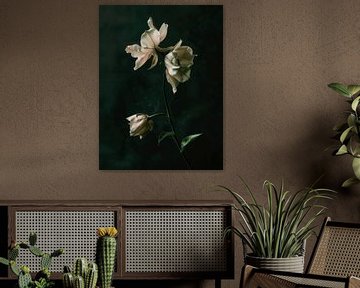 Minimalistisches Stillleben einer Blume von Japandi Art Studio