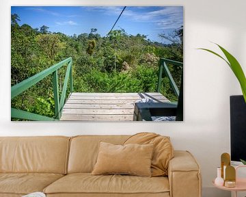 Zipline in the rainforest of Costa Rica by t.ART