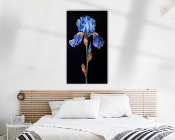 Iris, schöne Blume in tiefem Blau