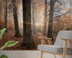 Raumvorschau