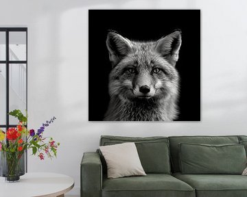 portrait dramatique d'un renard sauvage photographié en noir et blanc sur Margriet Hulsker
