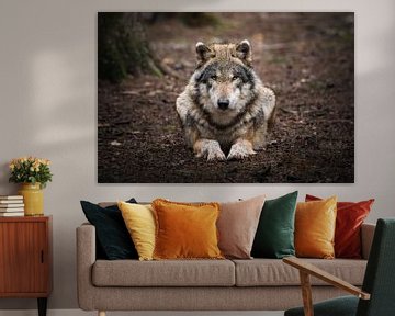 Loup dans la forêt allemande sur Thymen van Schaik