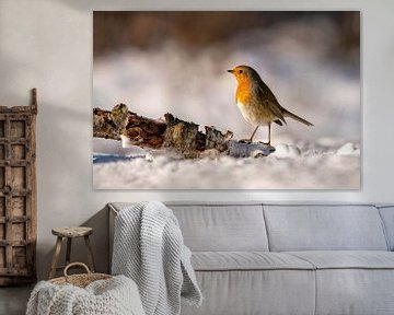 Robin dans la neige sur Mieke Geurts-Korsten