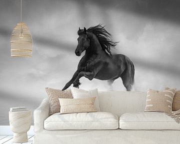 Galloping fries horse | black&white | horse photography by Laura Dijkslag