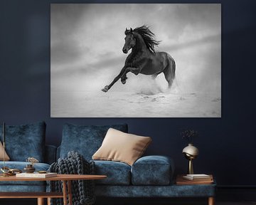 Galloping fries horse | black&white | horse photography by Laura Dijkslag