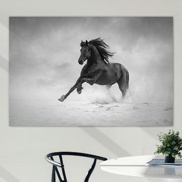 Galoppierende Pommes frites Pferd | schwarz&weiß | Pferdefotografie von Laura Dijkslag