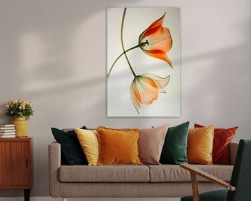 Tulpen van Bert Nijholt