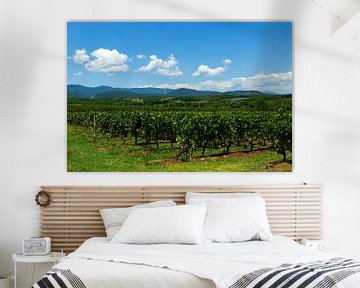 Vignoble sur fond de montagnes et de ciel bleu avec des nuages sur Edith Keijzer