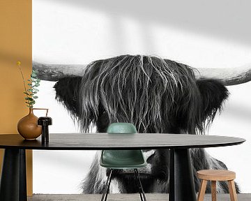 Scottish highlander by Uwe Merkel