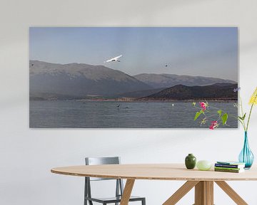 Pelican over Prespa Lake with mountains in background by Edith Keijzer