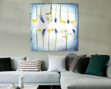 Stilleven met narcissen en blauwe druifjes van Francis Dost