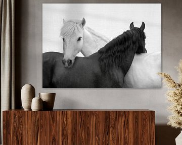 Chevaux Yin et Yang sur Gal Design