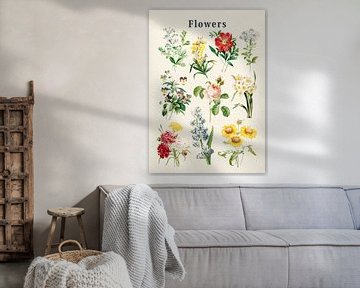 Bloemen Collectie van Gal Design