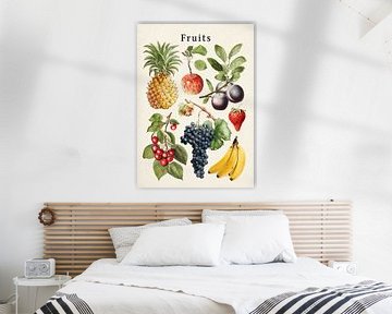 Collection de fruits sur Gal Design