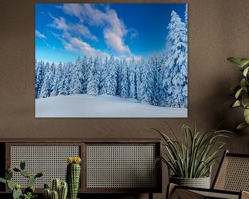 Winterlandschaft im Montafon von Dirk Rüter