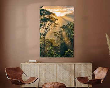 Sonnenaufgang über Hügellandschaft