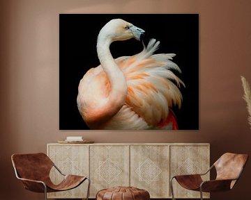 Beautiful! Bij een flamingo spat de schoonheid ervan af! van Marjon Woudboer