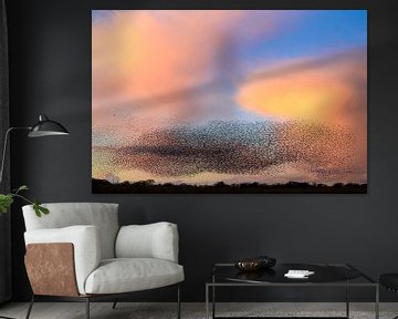 Starling murmuration during sunset with colorful clouds by Sjoerd van der Wal Photography