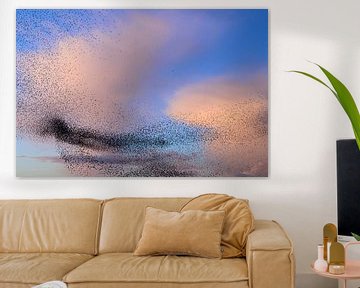 Murmuration d'étourneaux au coucher du soleil avec des nuages colorés sur Sjoerd van der Wal Photographie