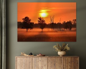 Orange und nebliger Sonnenaufgang im Herbst von Stefan Wiebing Photography