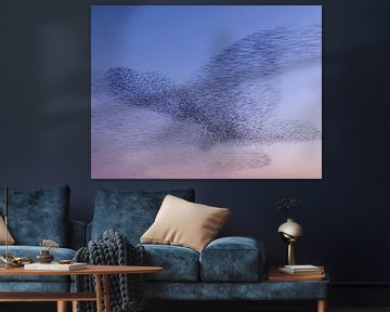 Starling cloud by Rob Kempers