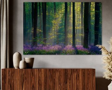 Forest hyacinths in mystical forest scene