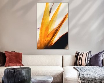 Strelitzia in ice 1 by Marc Heiligenstein